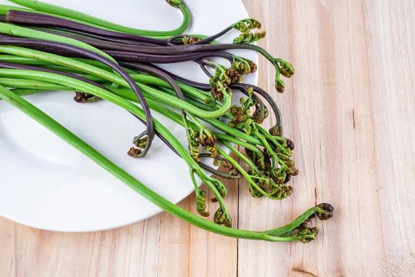 厥菜——山菜之王（被列為致癌蔬菜，可適量食用）