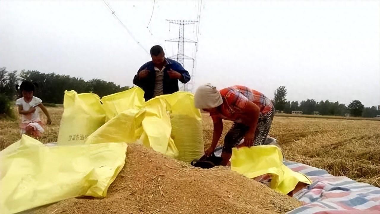 地補取消，農業(yè)補貼停發(fā)，農民種地意愿大打折扣