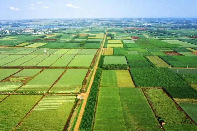 搞農業(yè)賺錢(qián)，有沒(méi)有想過(guò)為什么農民不賺錢(qián)